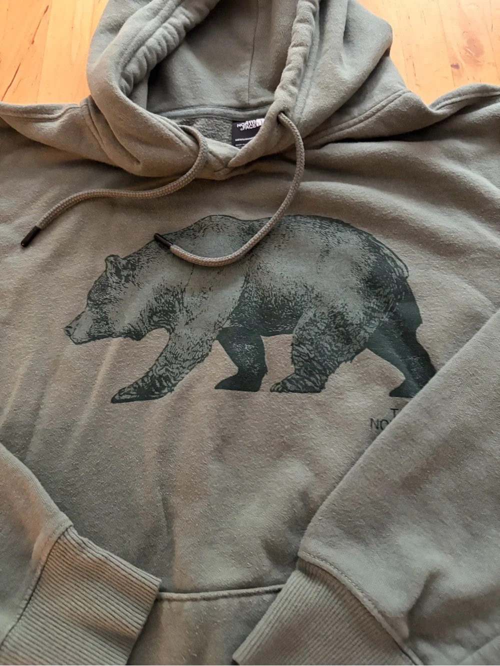 The North Face Men's Olive Hoodie with Bear Graphic